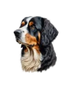 Pajumäe Kennel